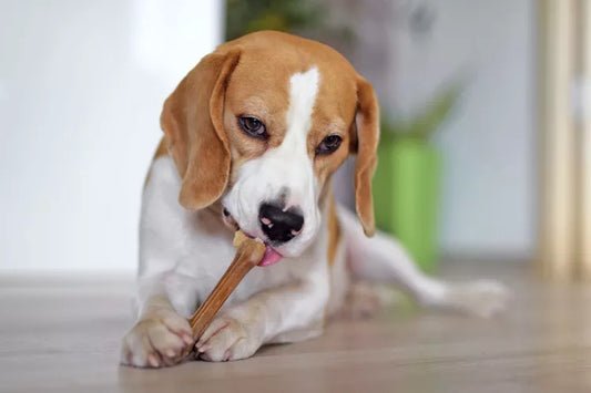 Is rawhide safe for dogs?