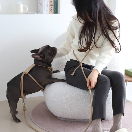 3way Hands Free Leash Black