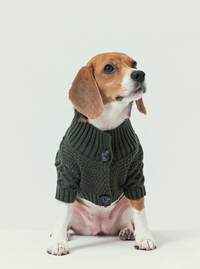 Bert Cardigan Sweater