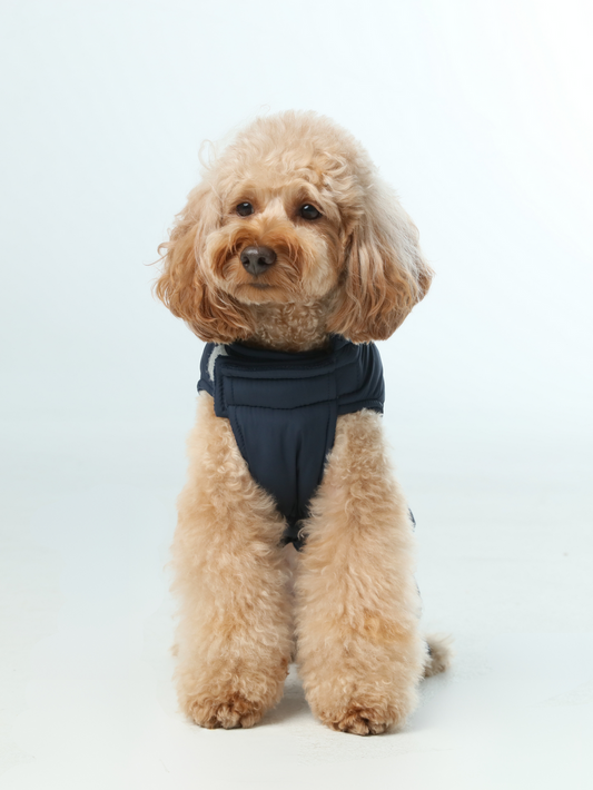 Reversible Dog Vest Jacket (Only Vest)
