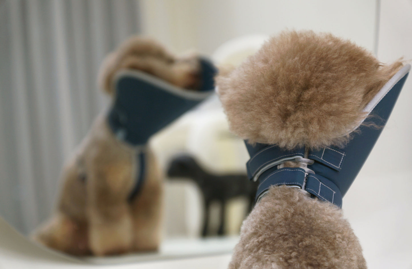 Half cone collar / elizabethan collar for pet