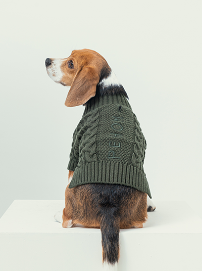 Bert Cardigan Sweater