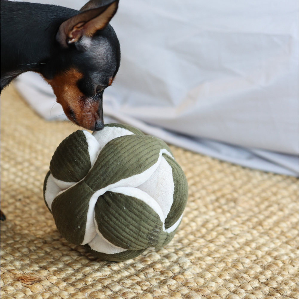 Monti *(Crinkly + Squeaky + Snuffle Ball)