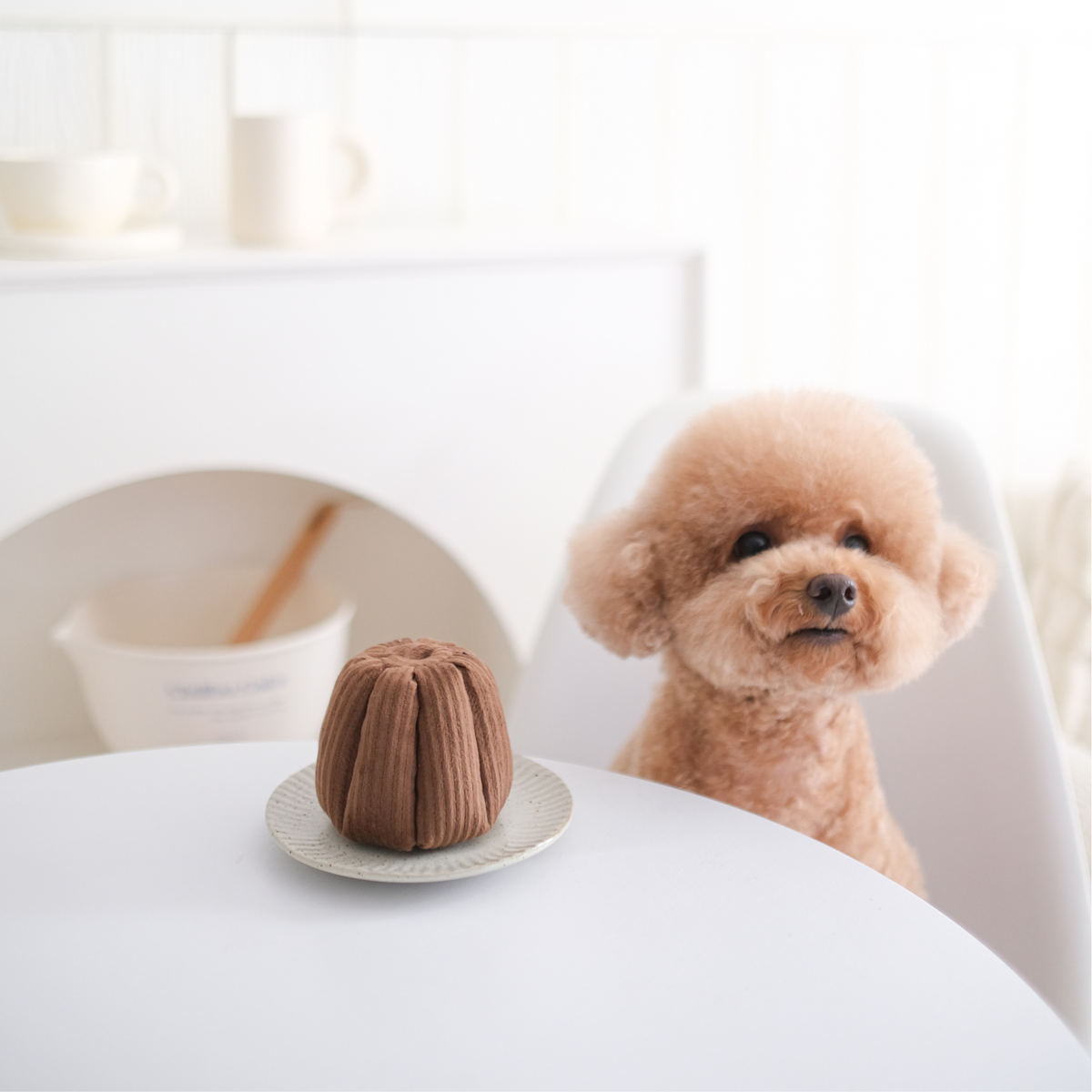 Canele (Squeaky + Snuffle )
