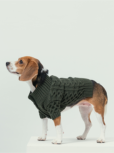 Bert Cardigan Sweater