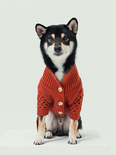 Bert Cardigan Sweater