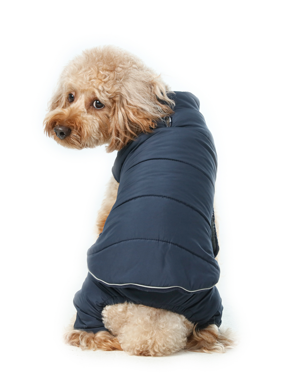 Reversible Dog Vest Jacket (Only Vest)