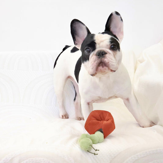 Apple (Crinkly + Burrow+ Snuffle)