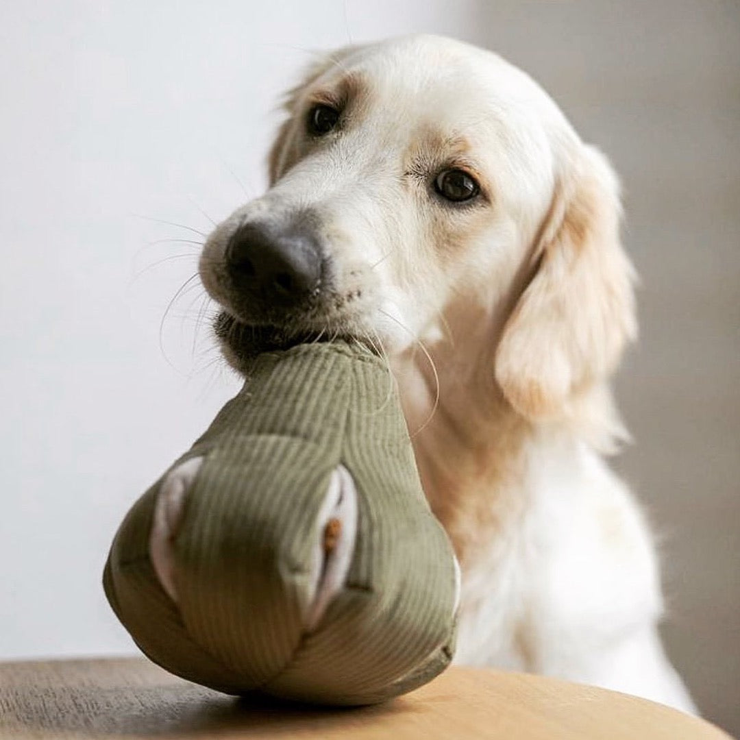 Butternut (Snuffle Gourd)