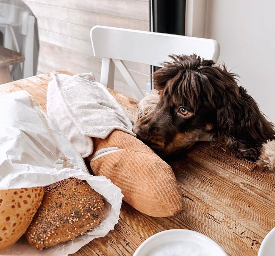 Baguette (Enrichment Pockets + Squeaky + Snuffle)