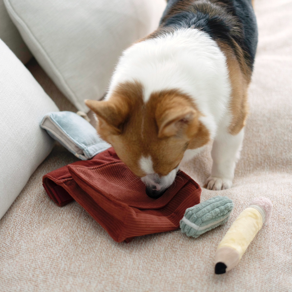 Back to School (Snuffle + Burrow )