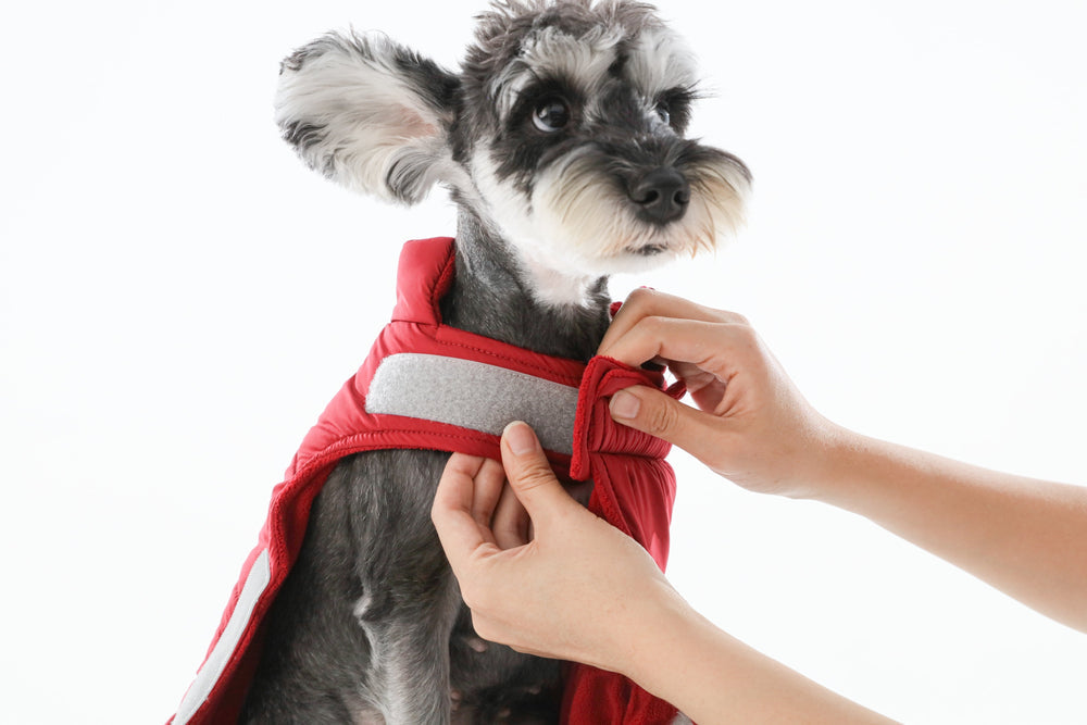 Reversible Dog Vest Jacket (Only Vest)
