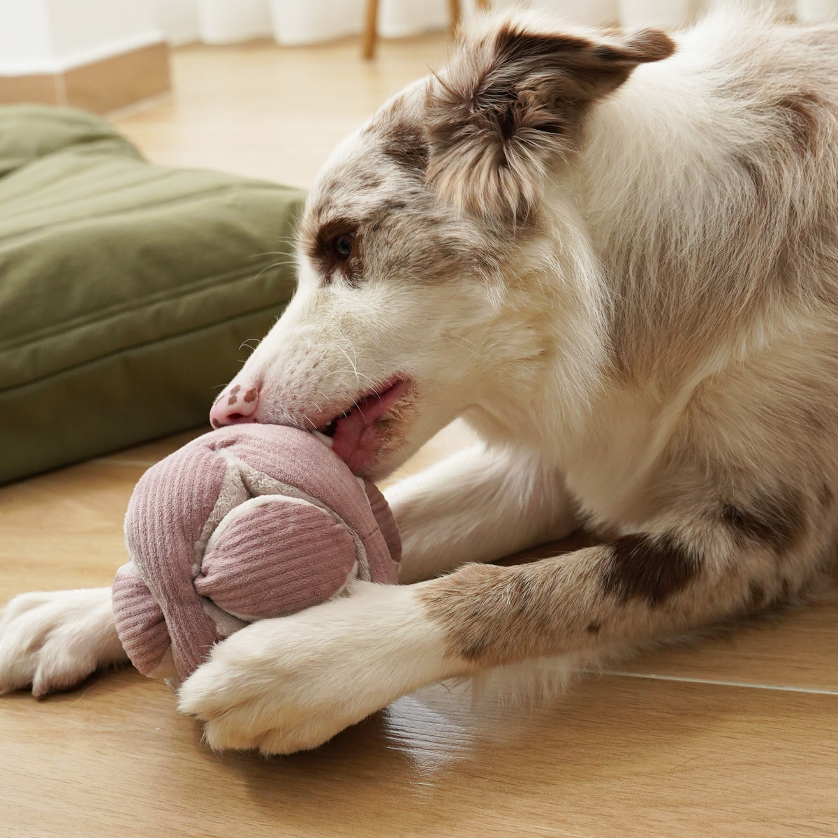 Monti *(Crinkly + Squeaky + Snuffle Ball)