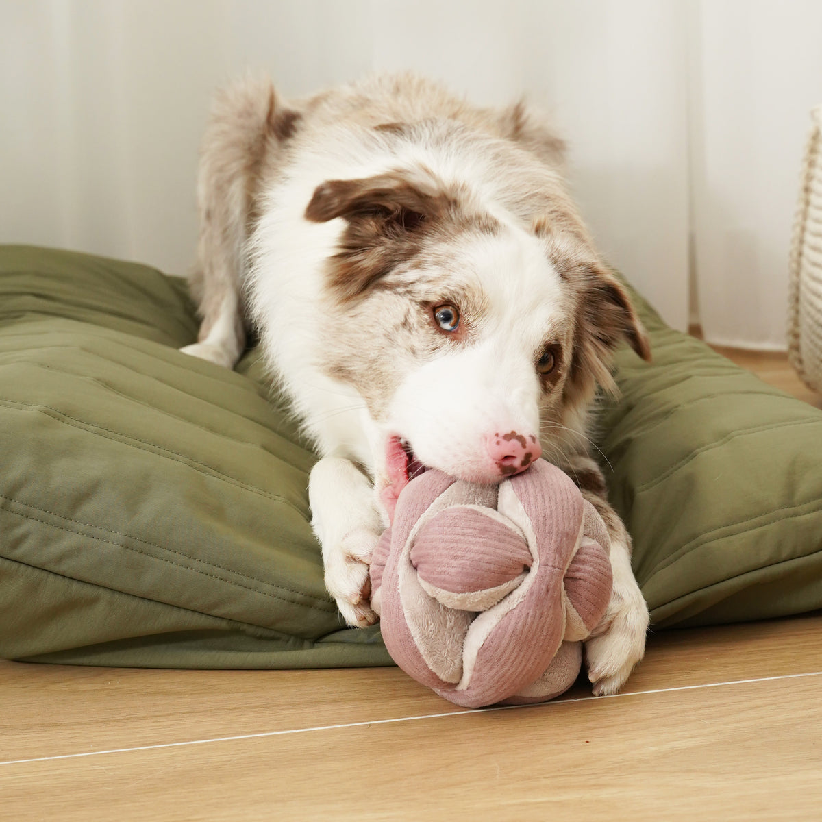 Monti *(Crinkly + Squeaky + Snuffle Ball)