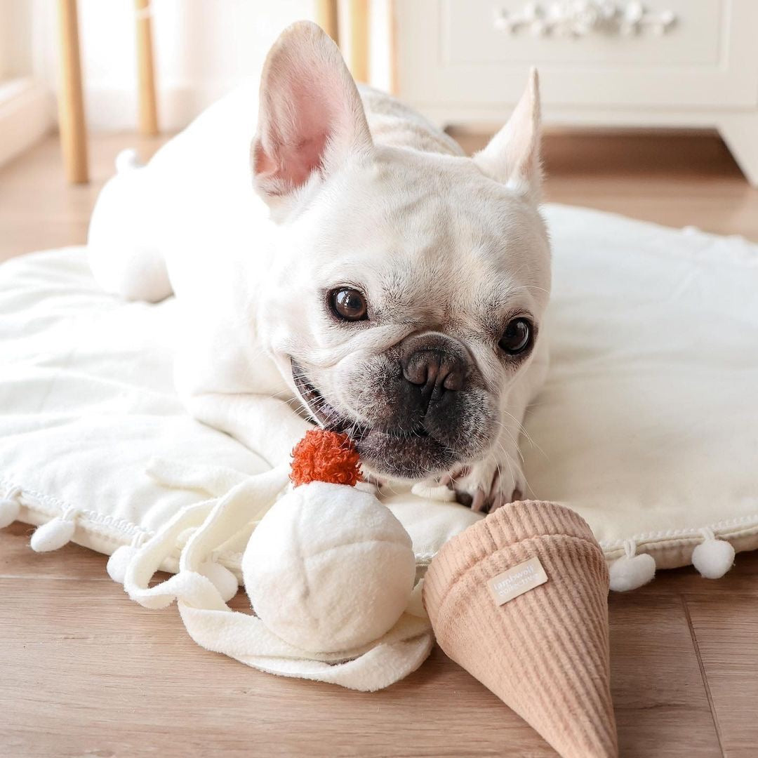 Ice Cream POP (Snuffle + Bouncy ball )