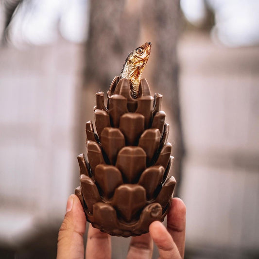 Loblolly Pinecone Puzzle Toy