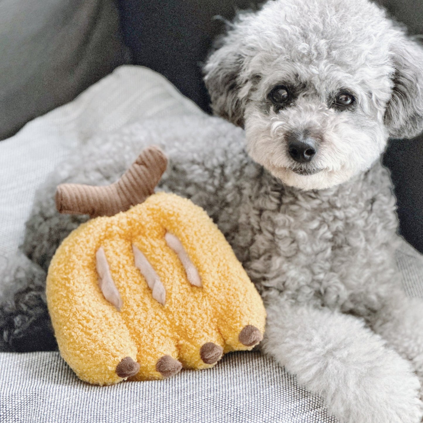 Banana (Squeaky + Snuffle)