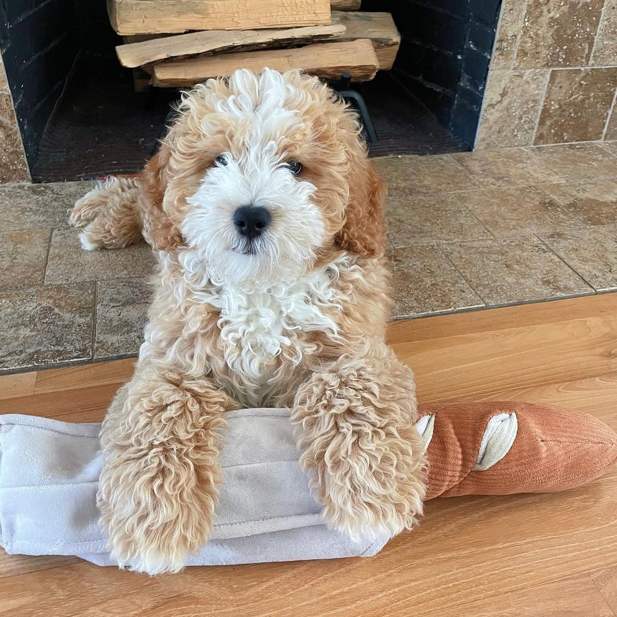 Baguette (Enrichment Pockets + Squeaky + Snuffle)