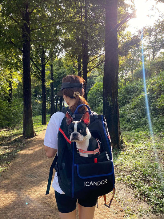 Jige Pet Backpack - Dynamic Black (including Wooly Cushion - grey)