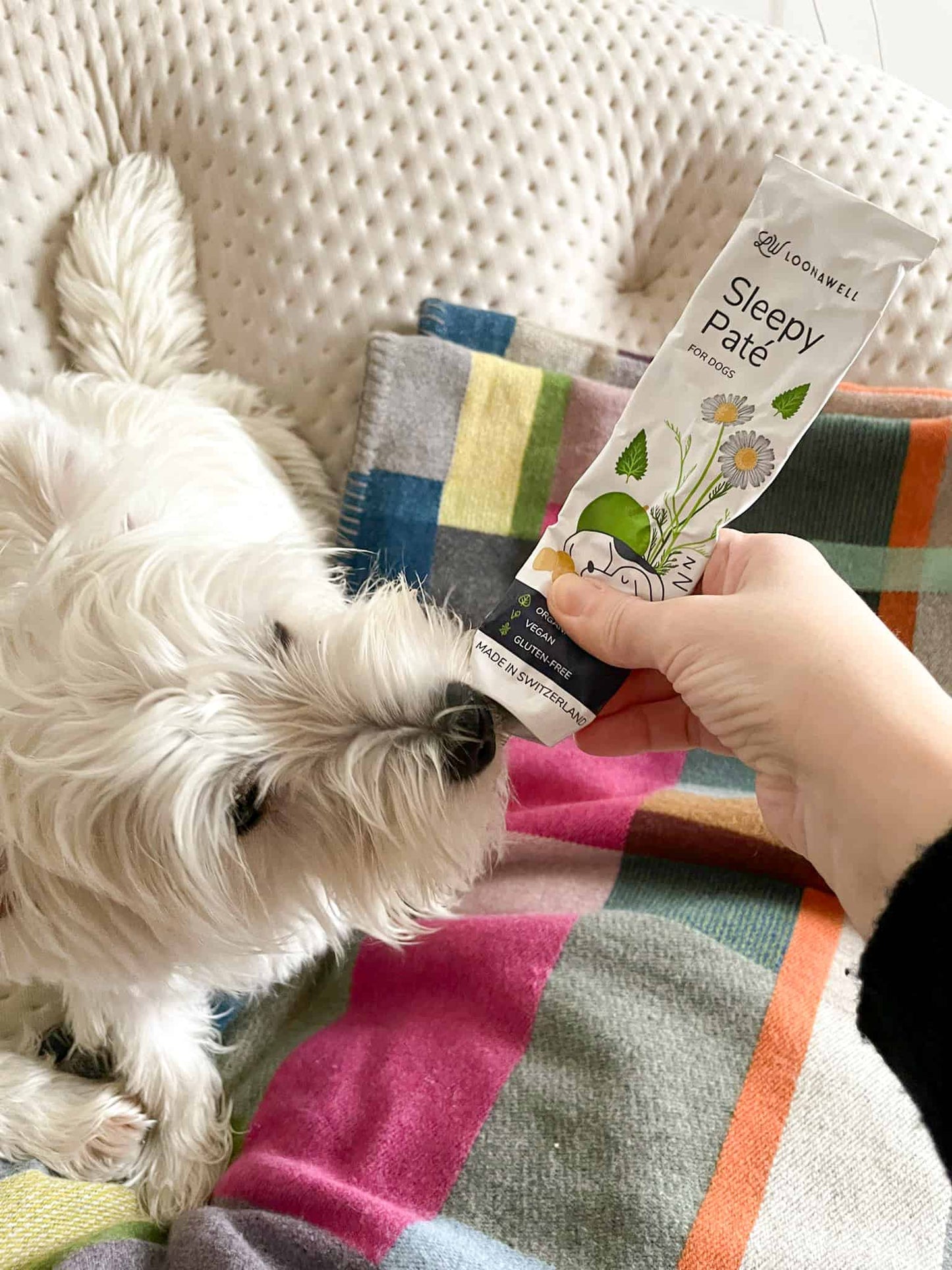 Sleepy Organic Dog Paté 150g