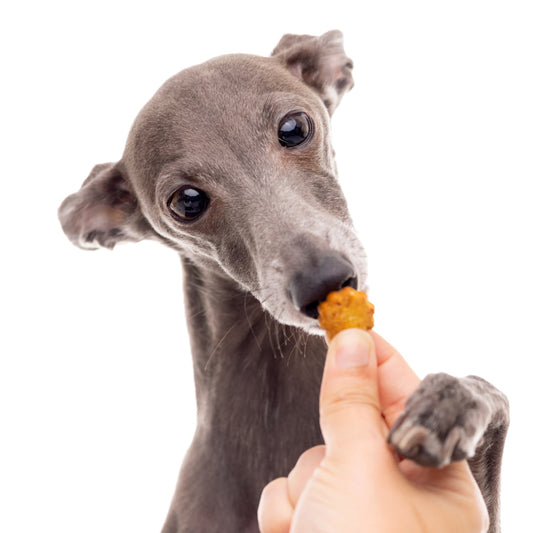 Multi Vitamin Organic Baked Dog Treats