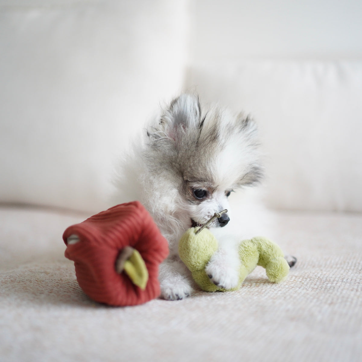 Apple (Crinkly + Burrow+ Snuffle)