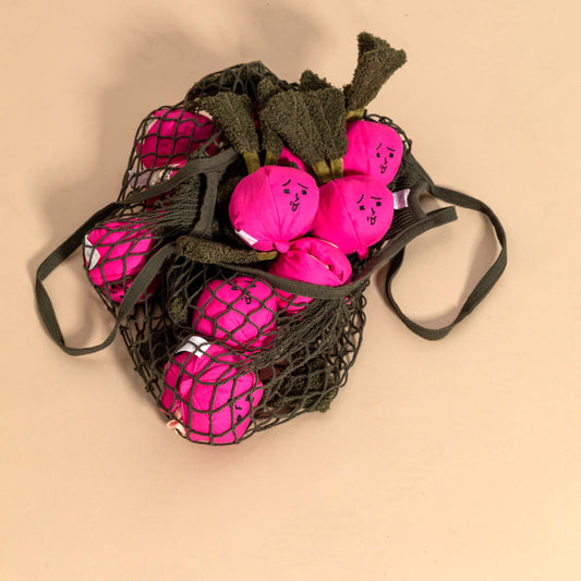 Radish Nosework Sniff Toy