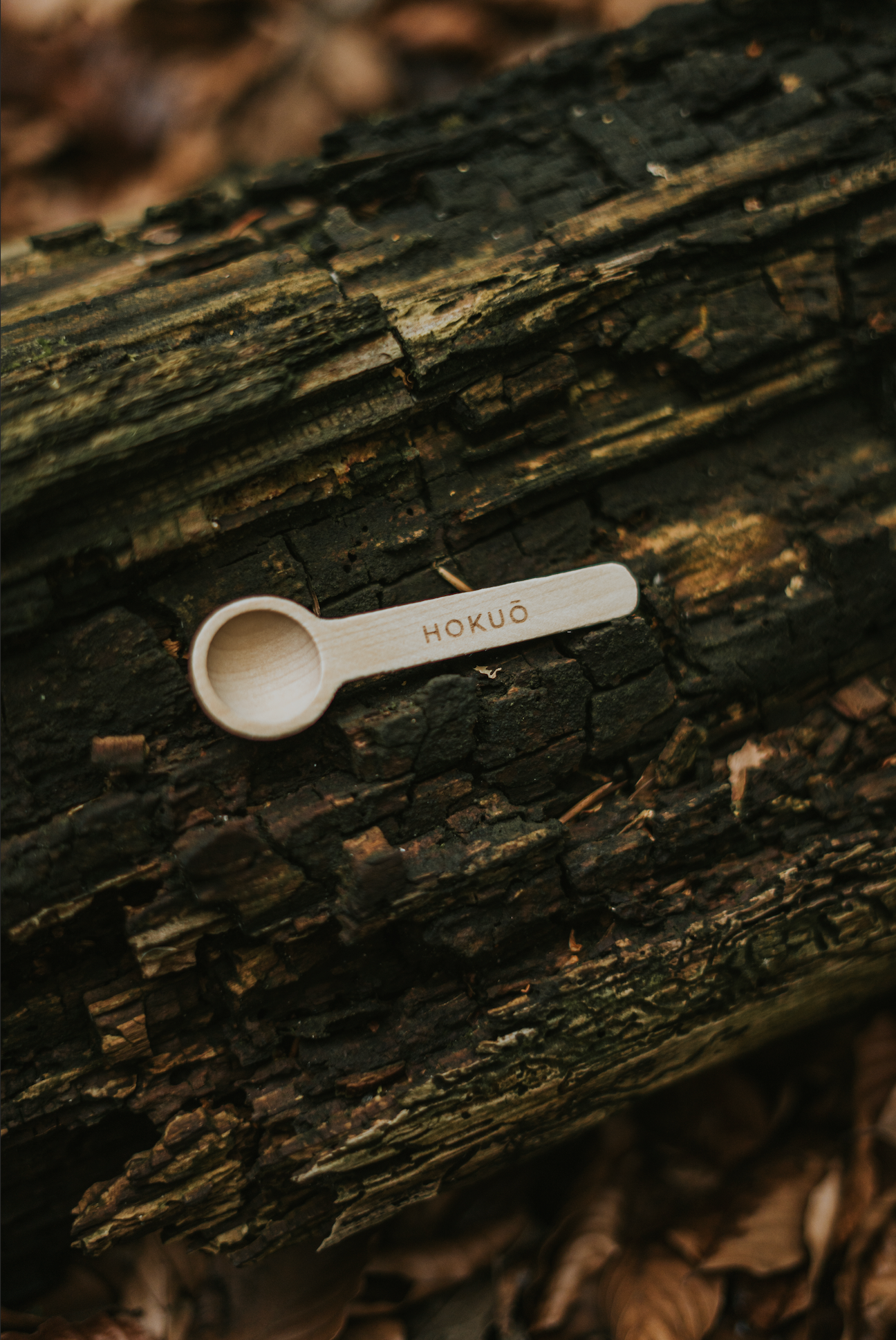 Supplement Dosing Spoon