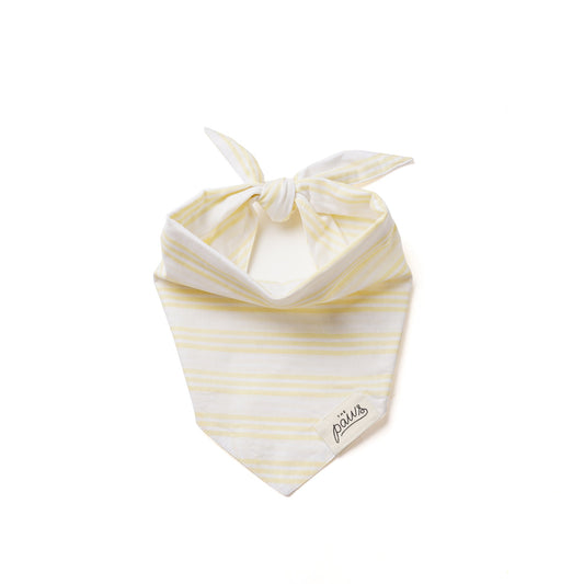 Sunshine Summer Stripe - Yellow