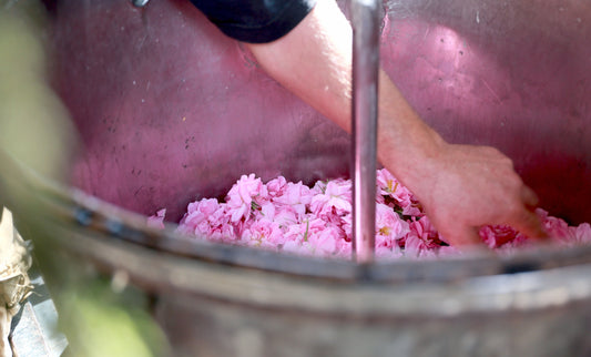 Rose Beauty Oil - 100ml