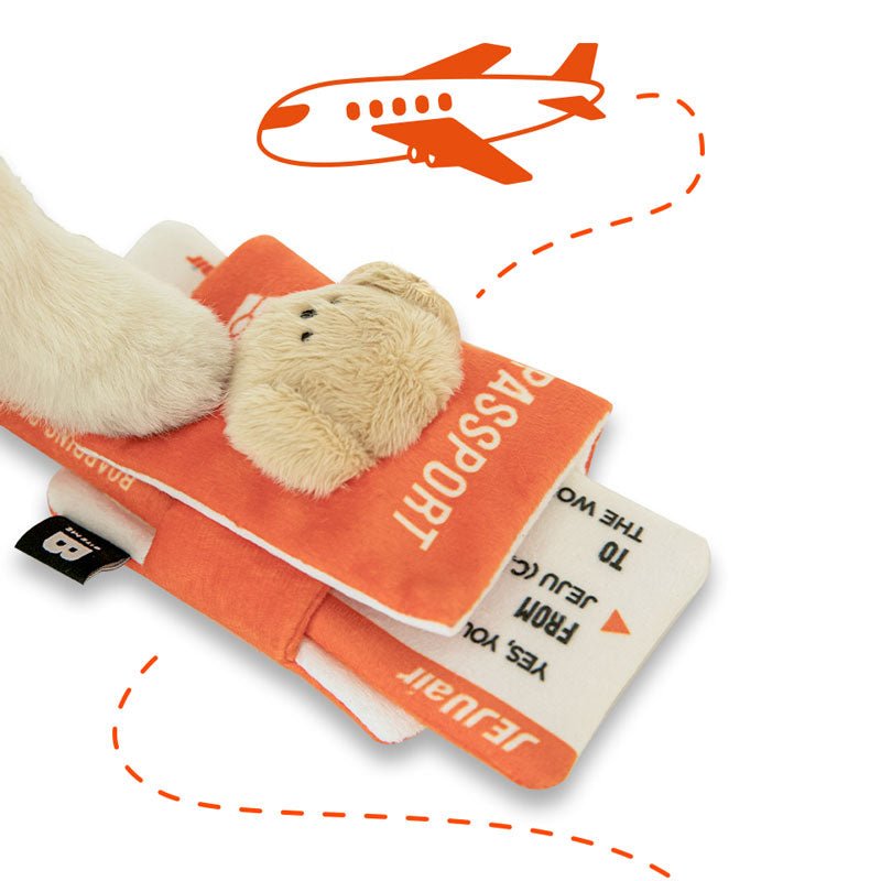 Pet passport & ticket nosework toy set