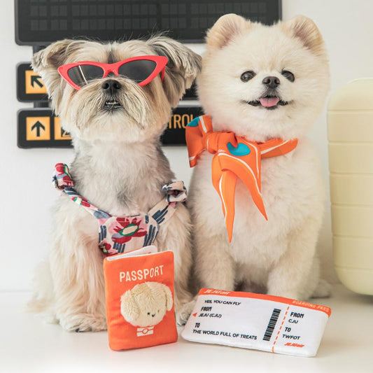 Pet passport & ticket nosework toy set