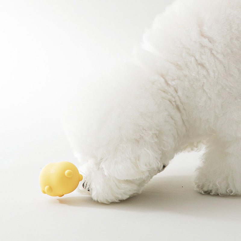 Jelly Bear Silicone Nosework ball