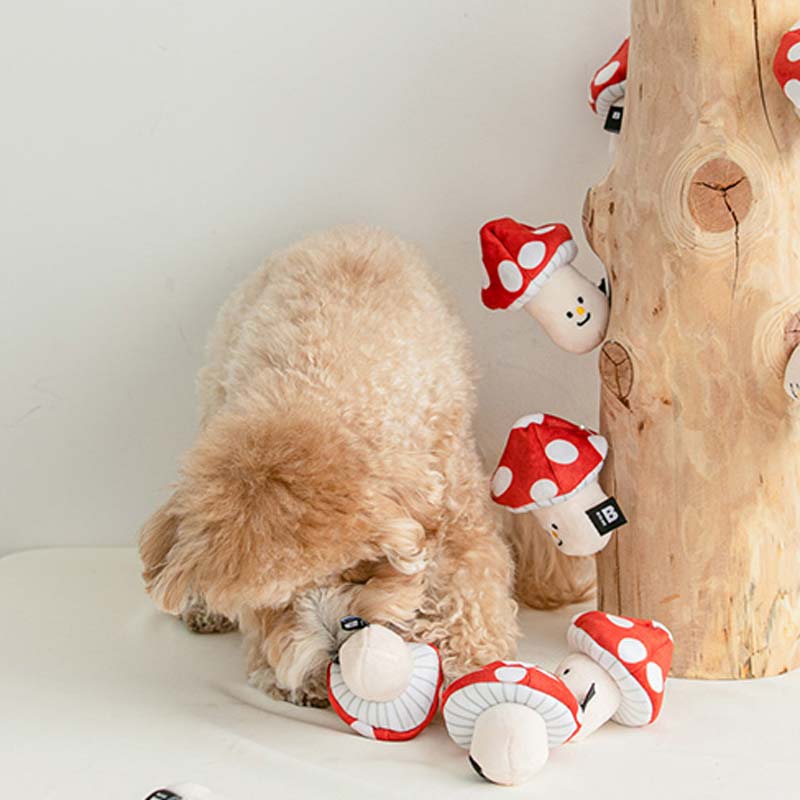 Mushroom Nosework Toy