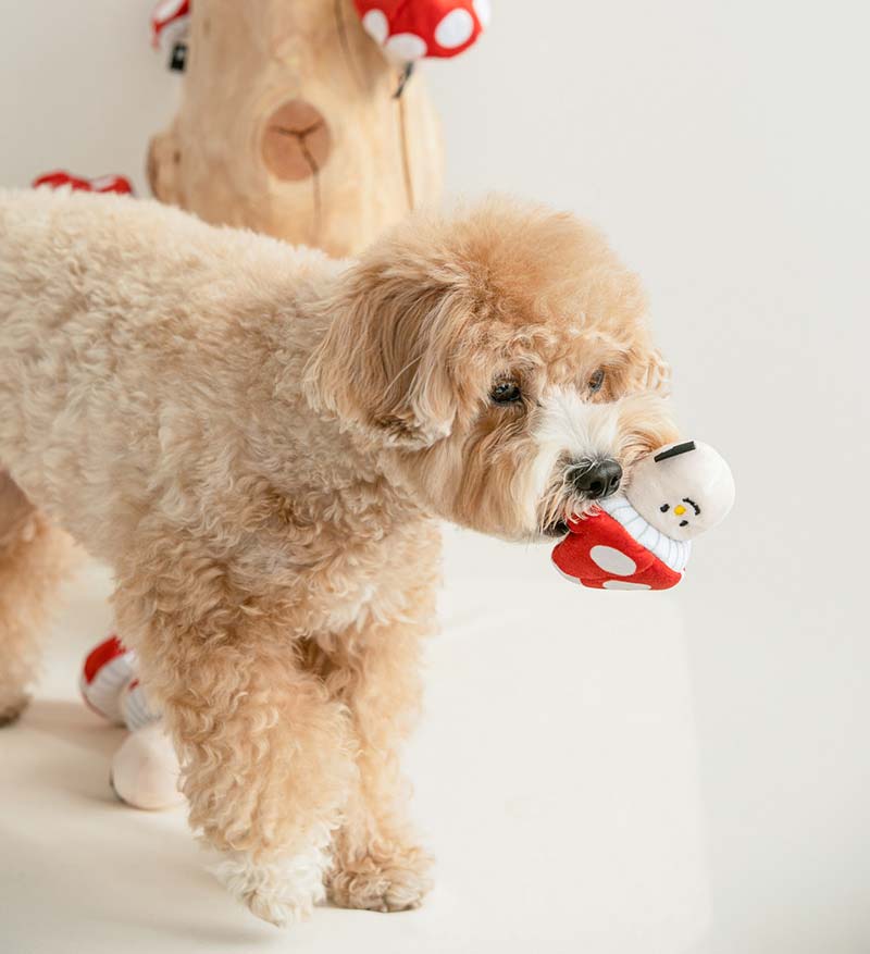 Mushroom Nosework Toy