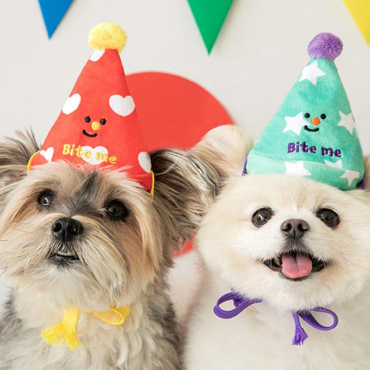 Party Series happy party hat toy (3 pcs)