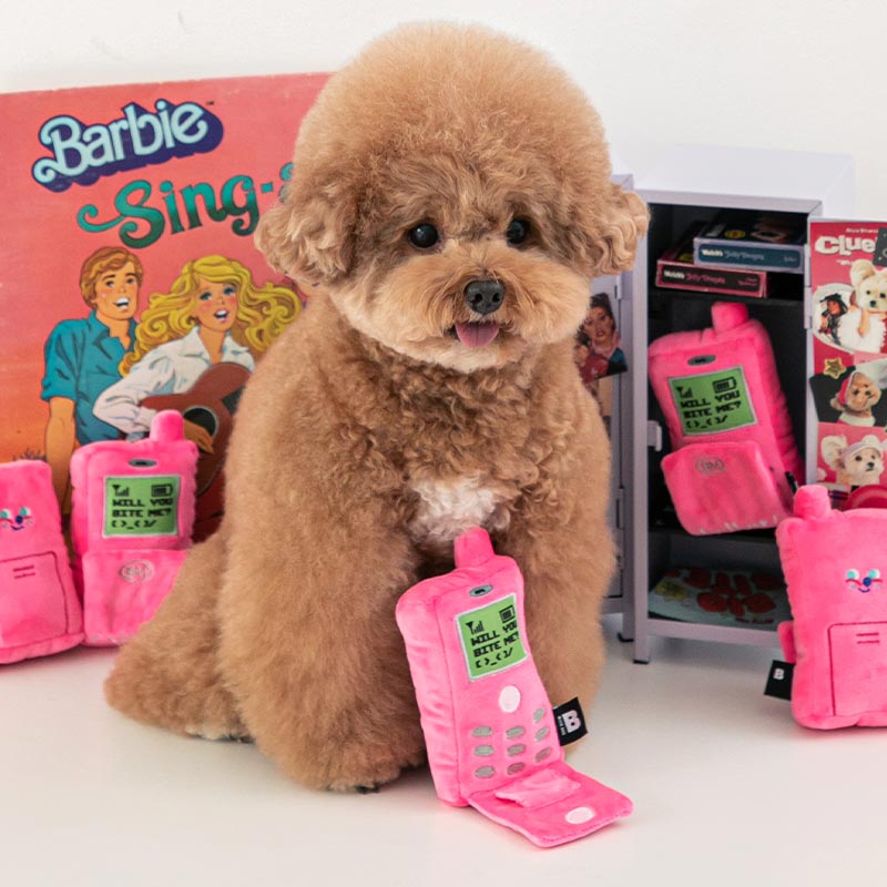 Retro Flip Phone Nosework toy