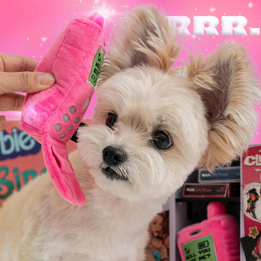 Retro Flip Phone Nosework toy