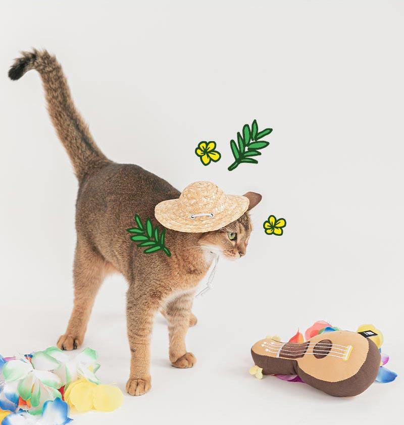 Ukulele catnip Cat Toy
