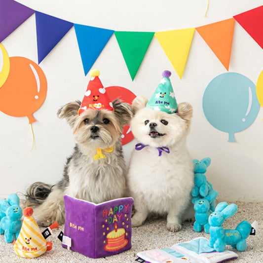 Party Series Happy Bday Card Dog Toy