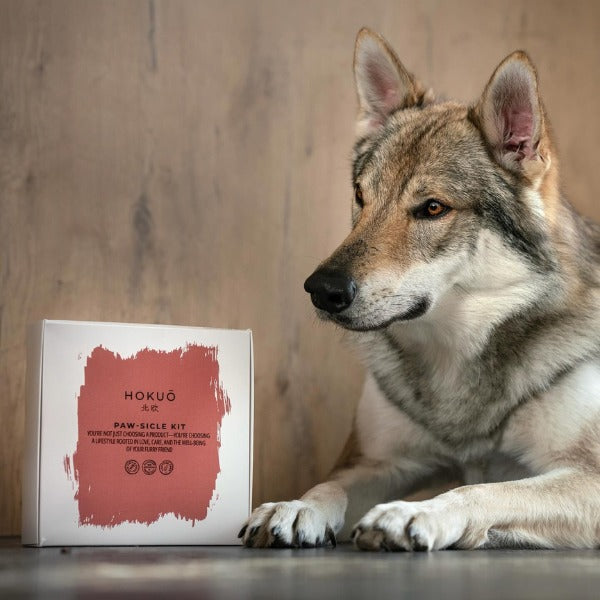 PAW-SICLE Kit - Elk