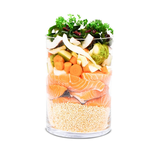 Menu "Fischers Fritz" with salmon and quinoa (For Dogs) 150g