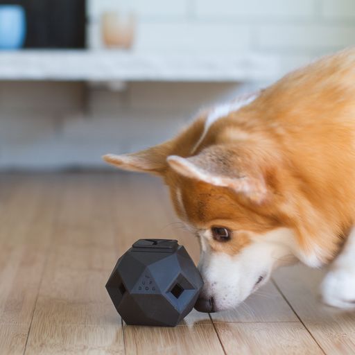 The Odin Puzzle Toy Slate Grey