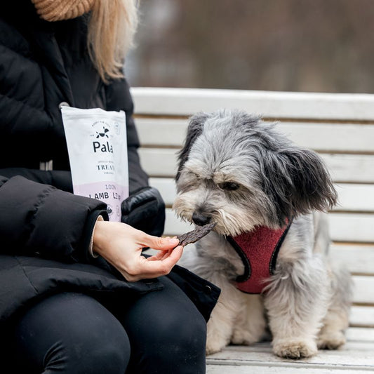 Lamb liver treats