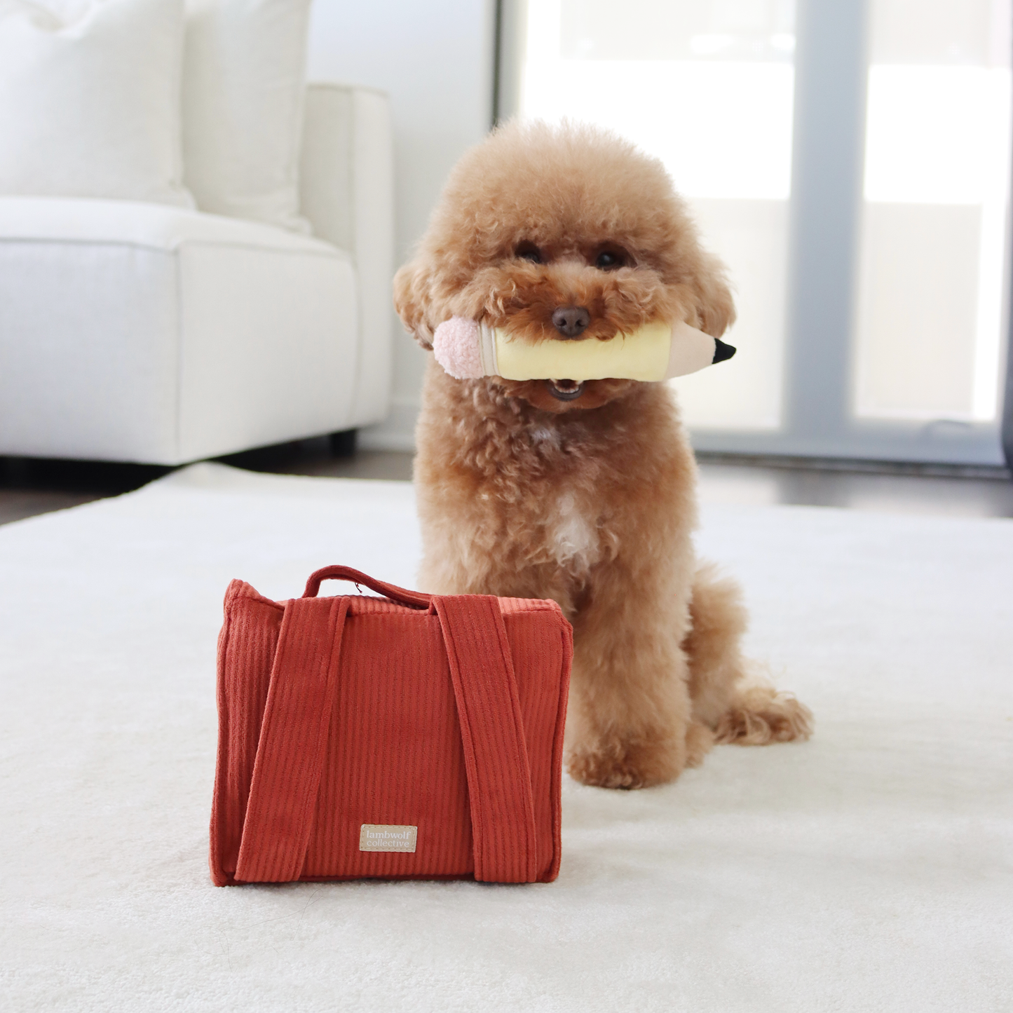 Back to School (Snuffle + Burrow )