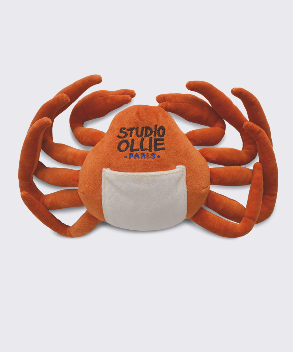 Snuffle Snow Crab