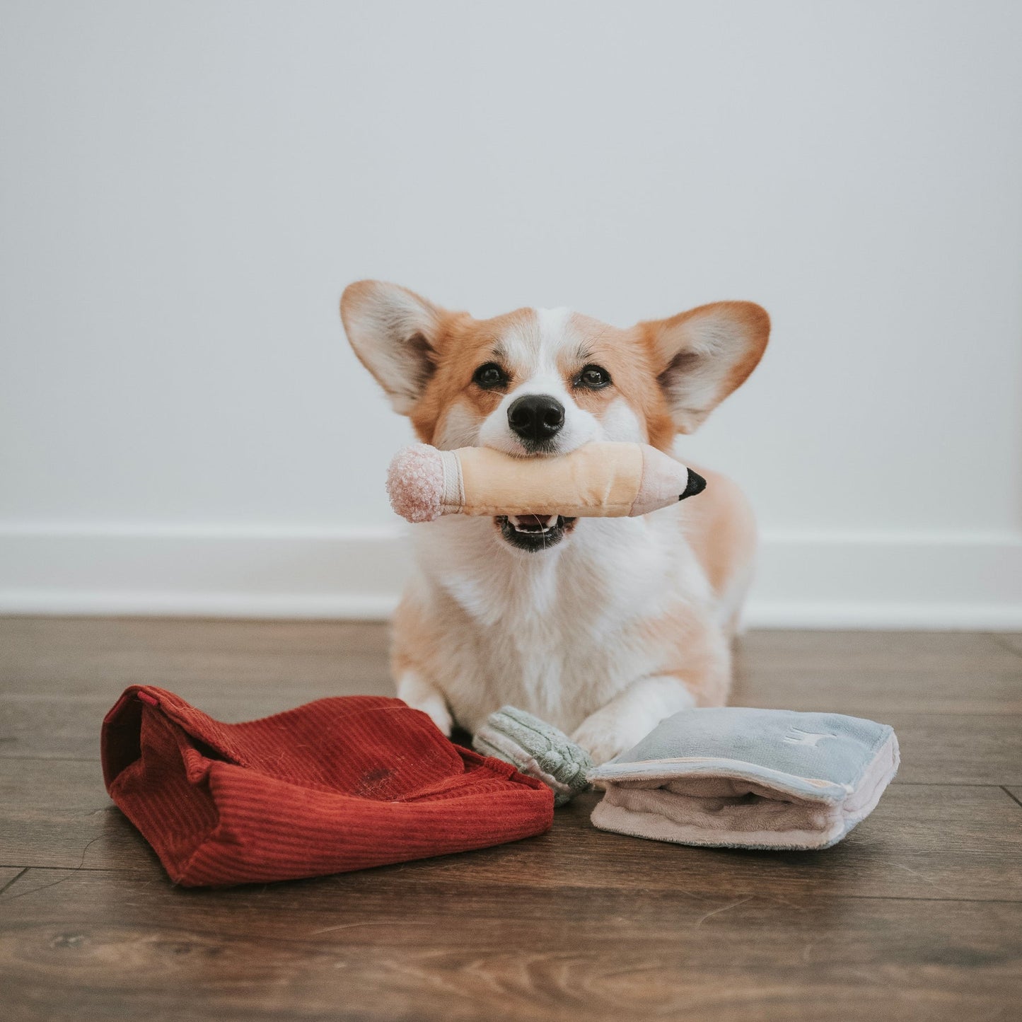 Back to School (Snuffle + Burrow )