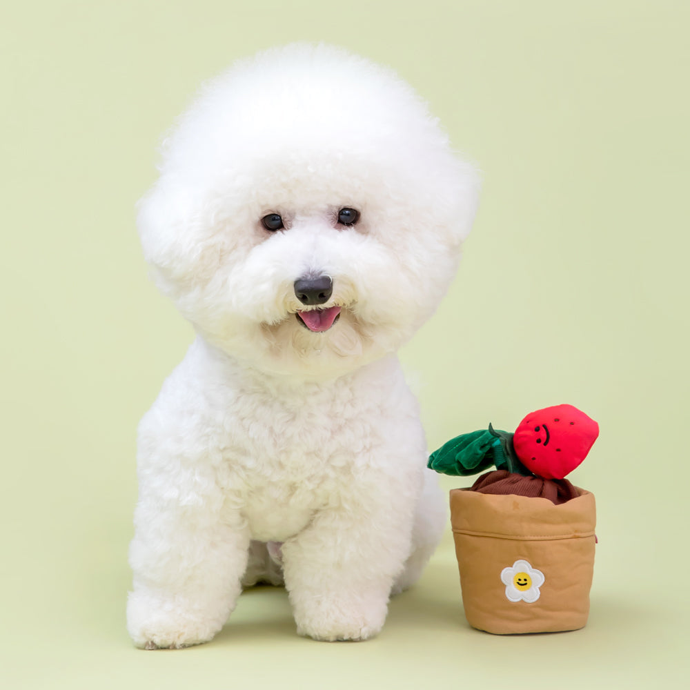 Organic Strawberry Farm Sniff Toy - Garden