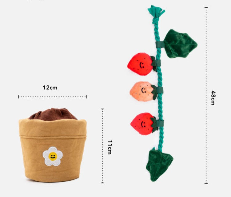 Organic Strawberry Farm Sniff Toy - Garden
