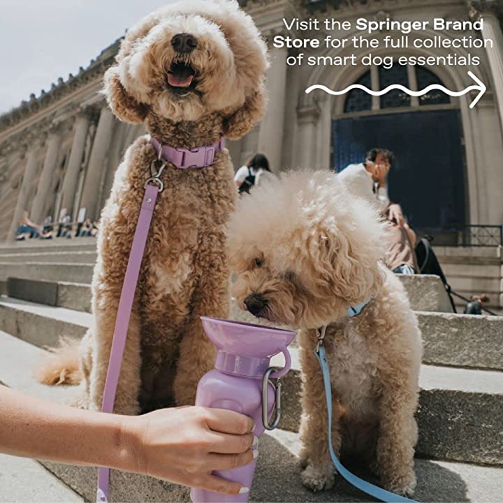 Mini Travel Water bottle - 450 ml / 15 OZ